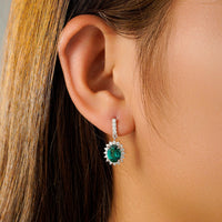 Exclusive Collections